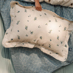 36fe253ff160270f7b4ad6e128bee96e