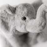 c097c4054e9b5964cff1738886ae2682