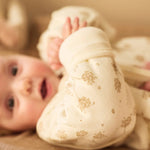 e83cd210326244f0d30f3bec28f56fd8