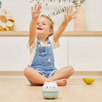 ef4a0c9de0b1306820e6d9e1ce2ea34d