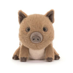 1fde67275a44c2f7f3419cc5686641e2