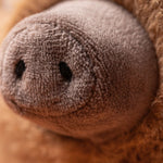 f147fb306a871bb4c6afc76668e4e5c5