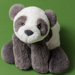 7869140c50e9551a993ca9f6b5be056e