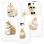 ff0326c1c448bc591e4a926d85c9d72f