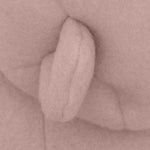 Image de diapositive