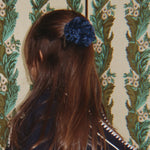 Image de diapositive