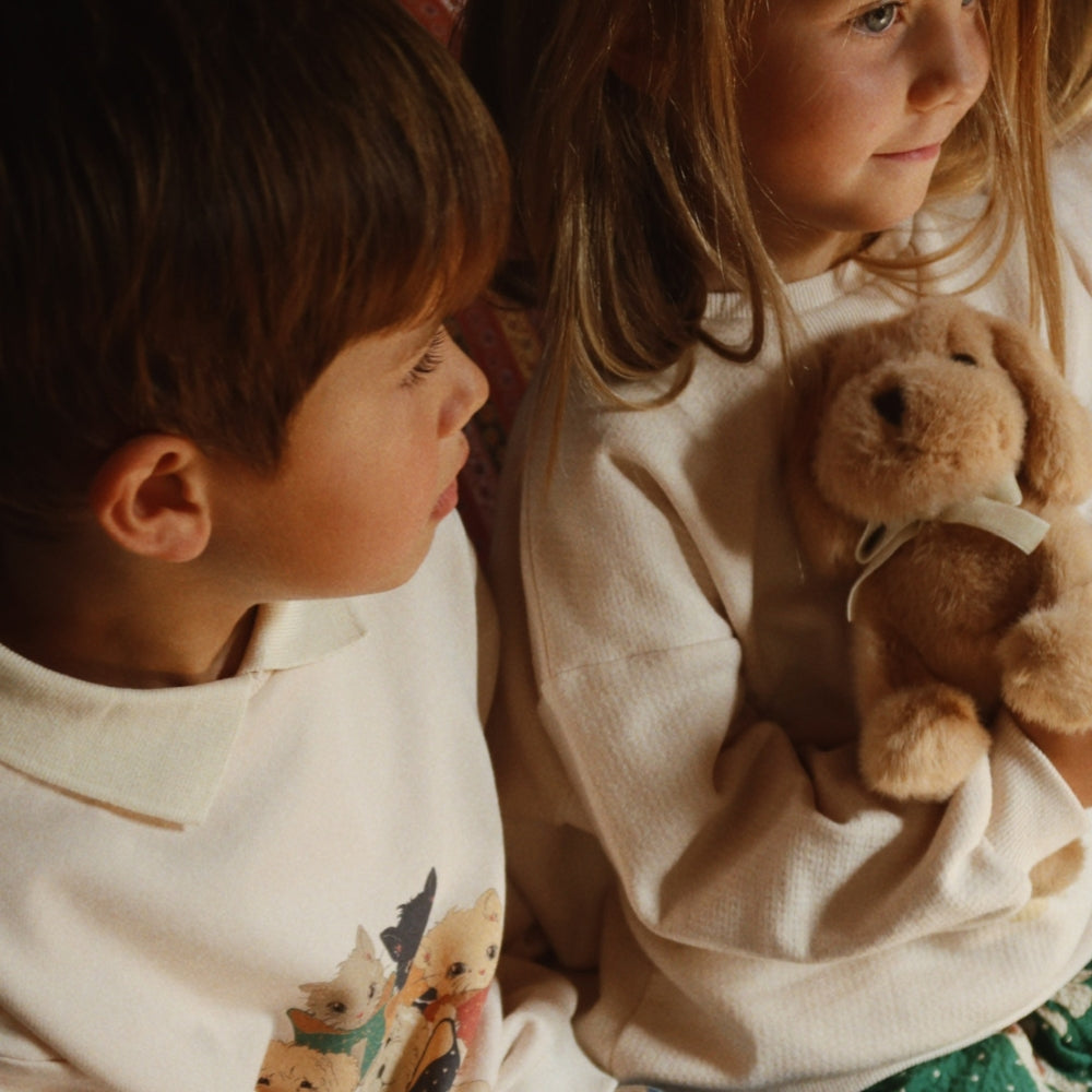 e359f6914fc6b41a94eb260a71a7f2cc