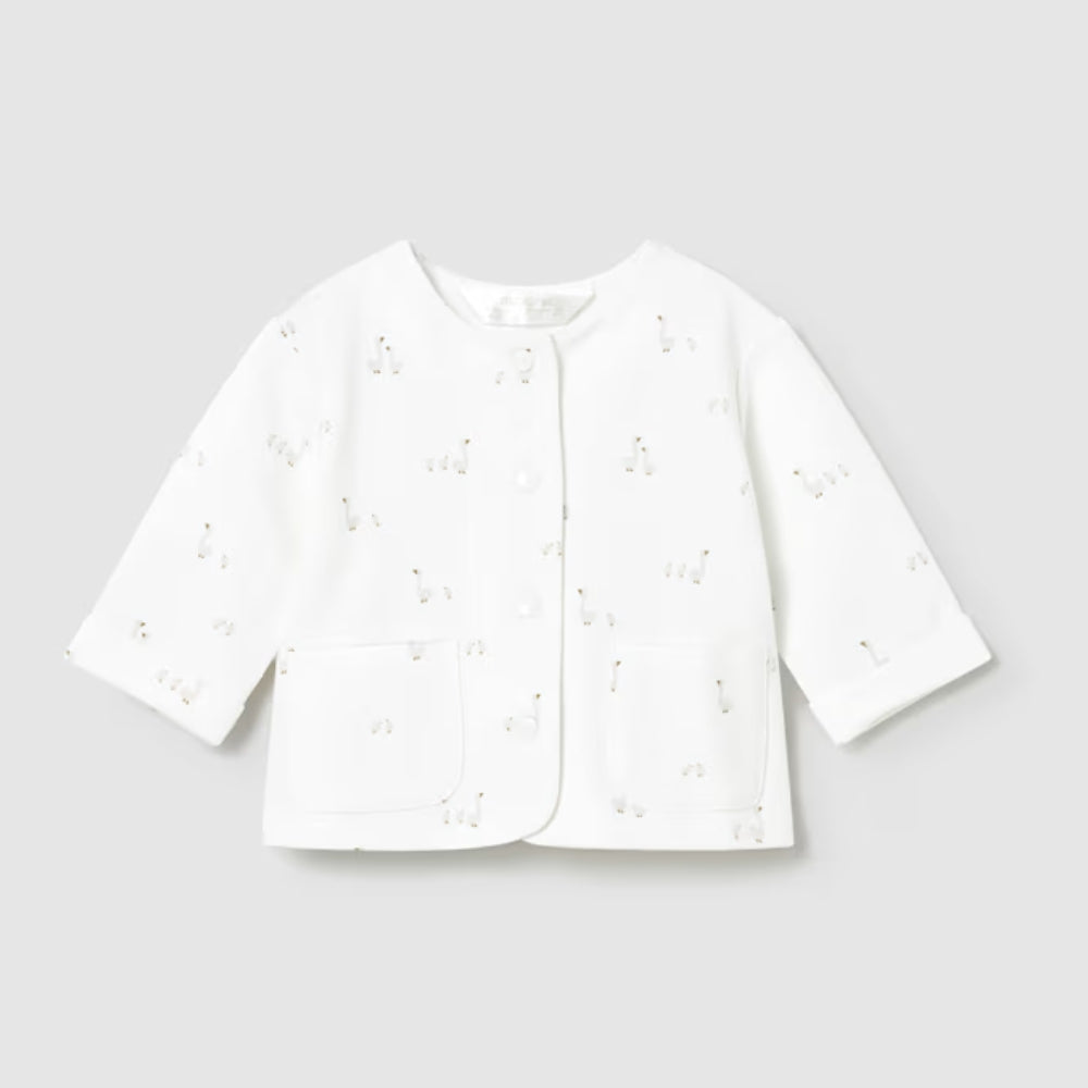 8f81314cb9dfa0143f12cb161ae46135