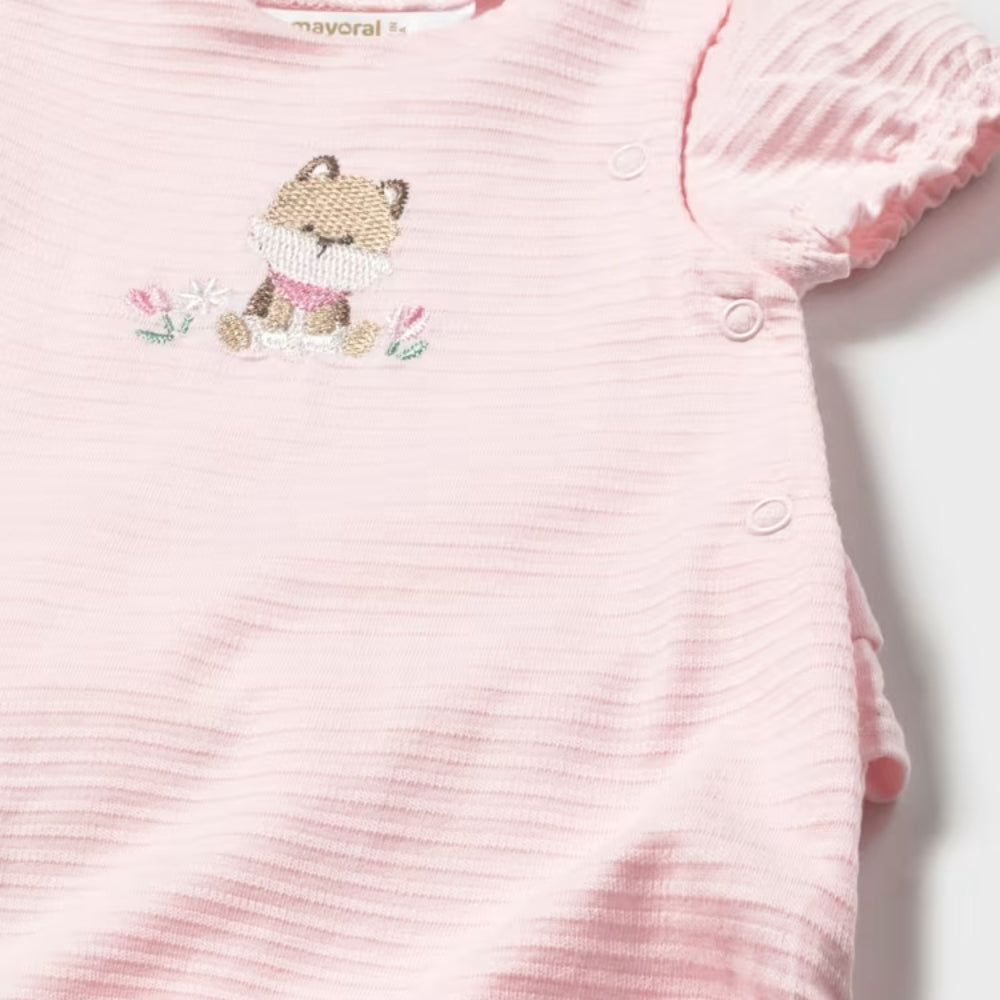 2e22abb9c623920c8a338f57c1a9ec0c