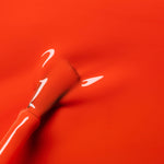 Image de diapositive