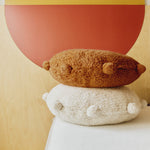 Image de diapositive