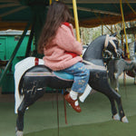 Image de diapositive