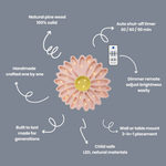 Image de diapositive