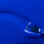 Image de diapositive