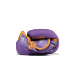 Image de diapositive