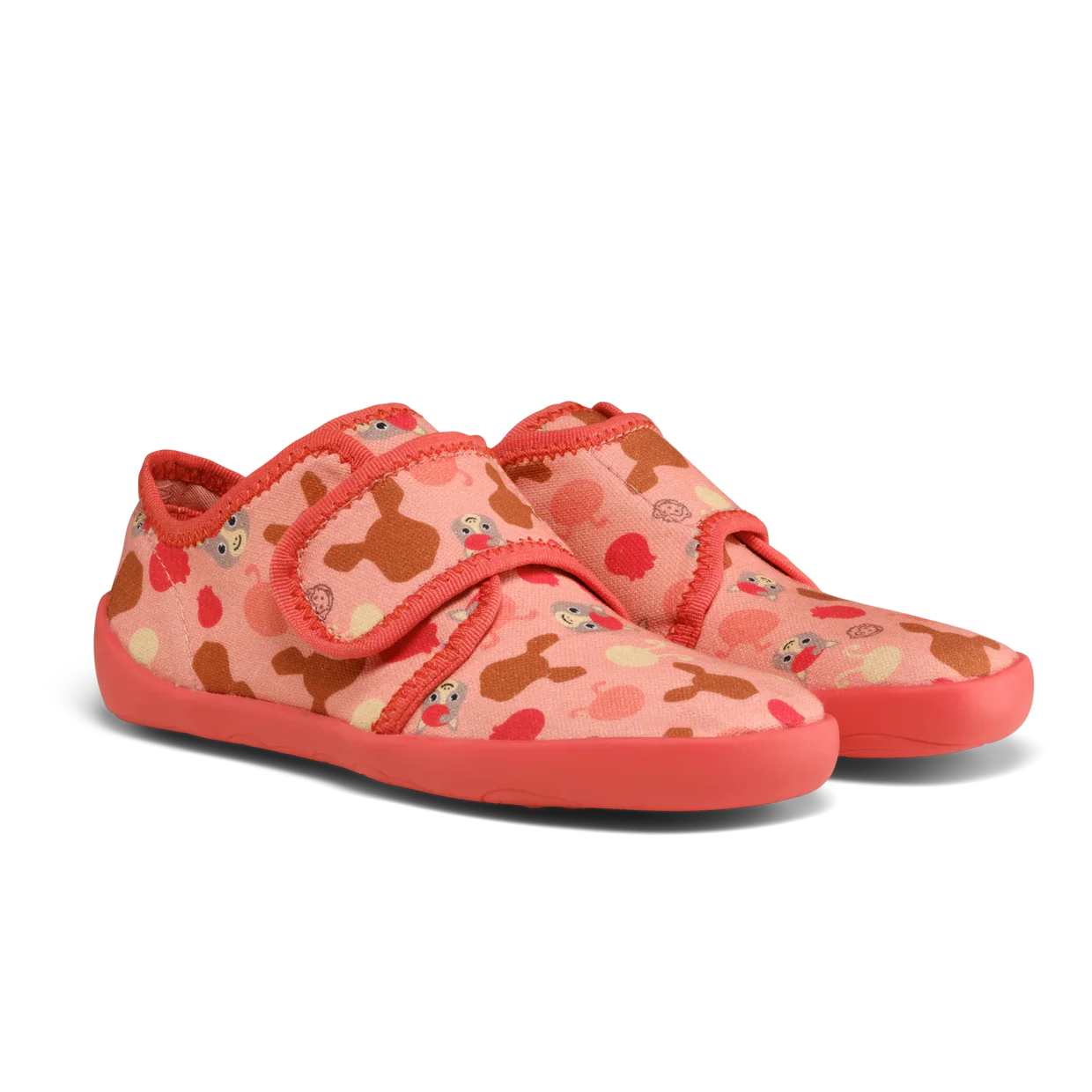 Image de diapositive