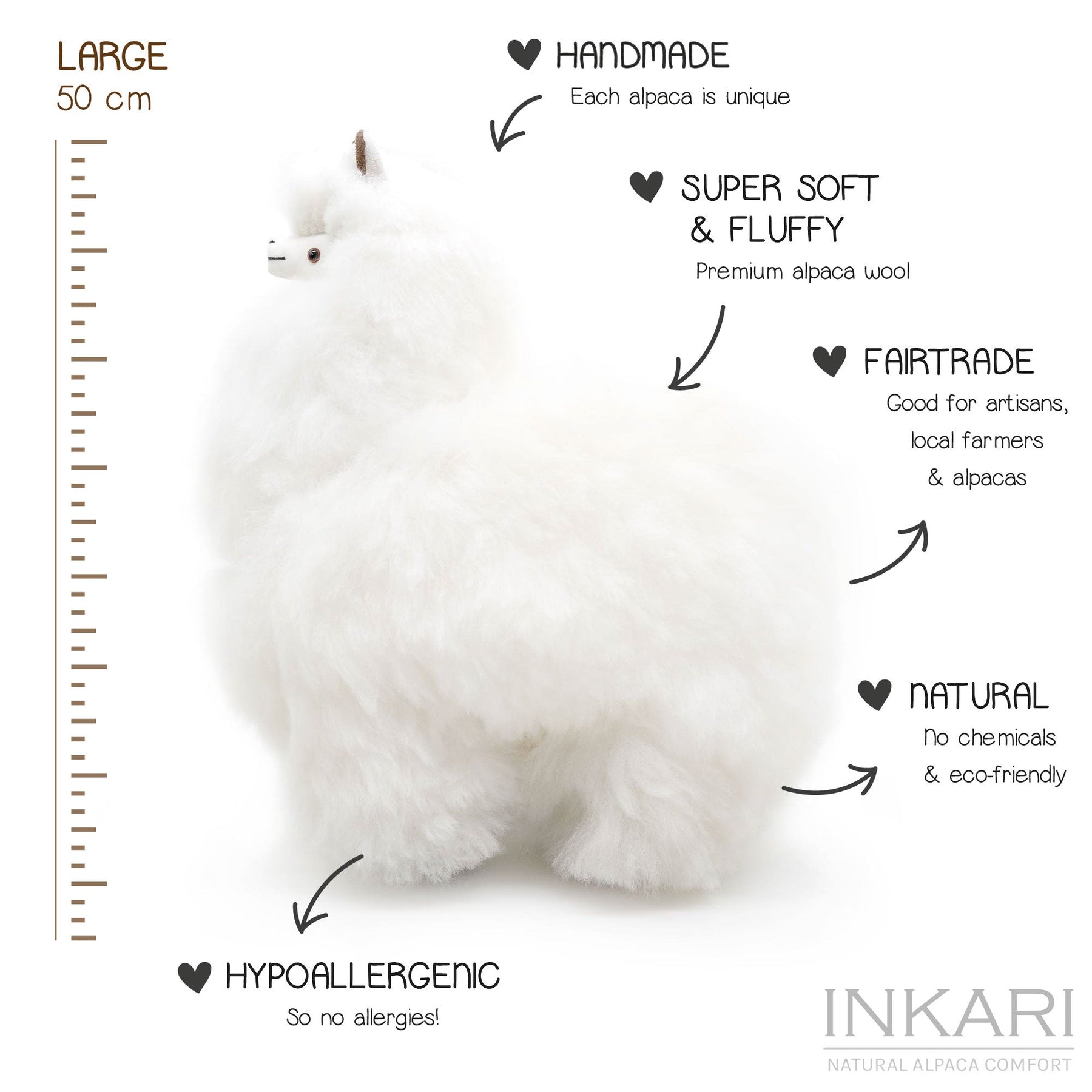 Image de diapositive