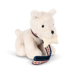Image de diapositive