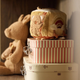 Jollein Coffre à jouets Pretty Picnic, pack de 2